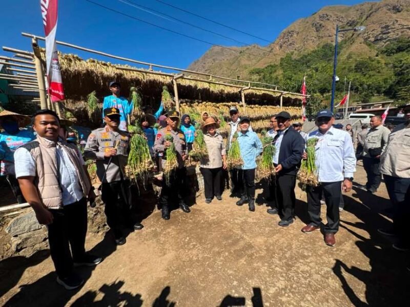 Foto: Kapolri Jenderal Pol Listyo Sigit Prabowo dalam kegiatan penanaman serentak bawang putih, panen raya, dan groundbreaking Gudang Ketahanan Pangan Polri di Sembalun, Lombok Timur, NTB kemarin.